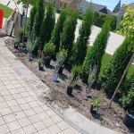 C & Gonzales Landscaping Services