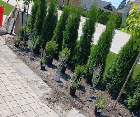 C & Gonzales Landscaping Services