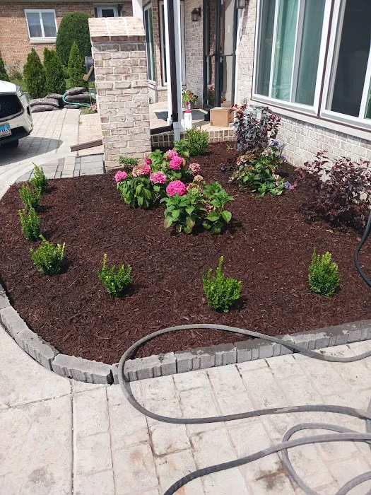 C & Gonzales Landscaping Services Picture 8