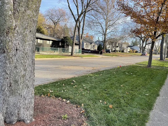 Garcia's Project Landscape & Hardscape Construction Picture 1