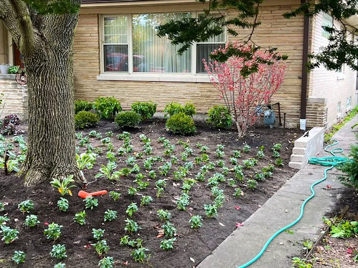 PTL Landscaping & Maintenance, Inc Picture 3
