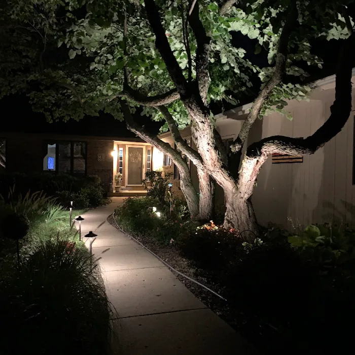 Brighten Up Landscape Lighting Picture 9