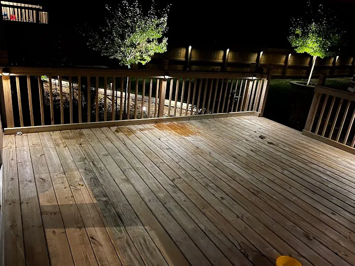 Brighten Up Landscape Lighting Picture 6