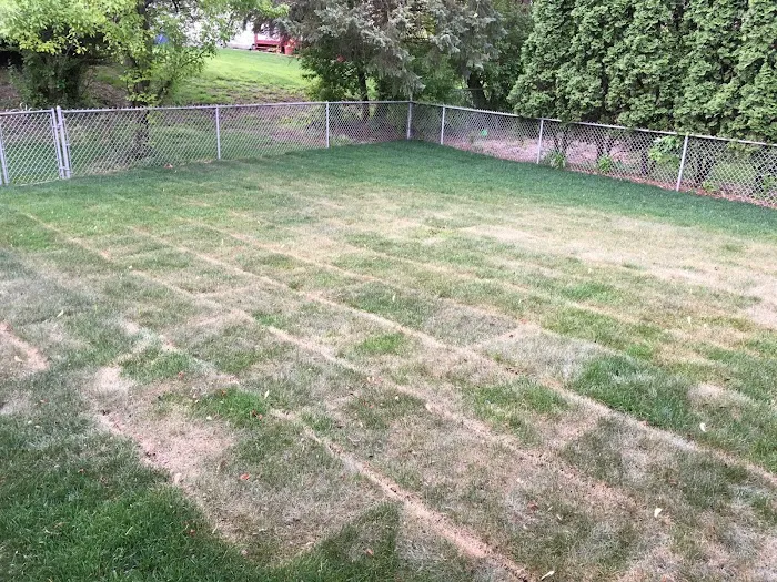 Marty's Landscaping Picture 5