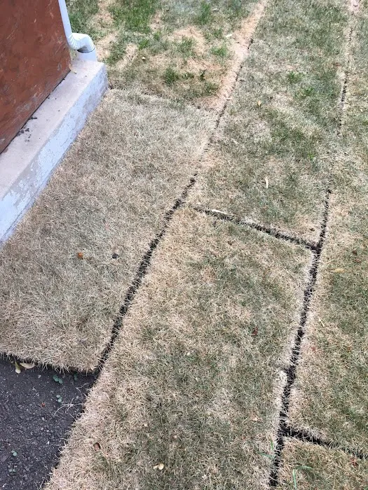 Marty's Landscaping Picture 2