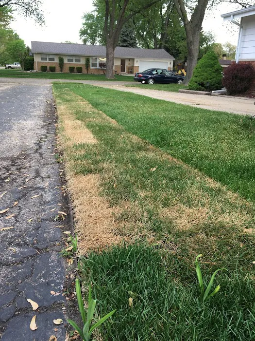 Marty's Landscaping Picture 1