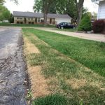 Marty's Landscaping