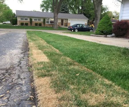 Marty's Landscaping