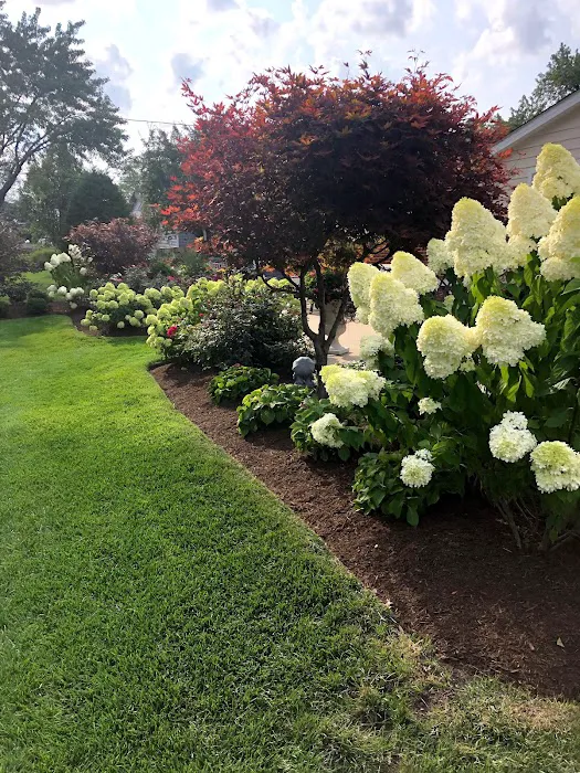 Vivas Landscaping LLC Picture 8
