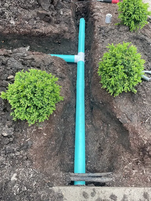 Vivas Landscaping LLC Picture 1