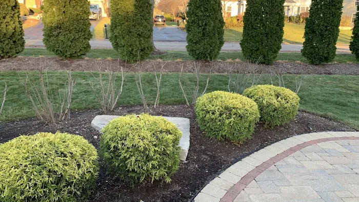 Vivas Landscaping LLC Picture 7