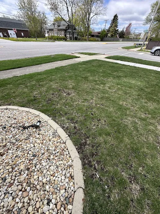 TruGreen Lawn Care Picture 5