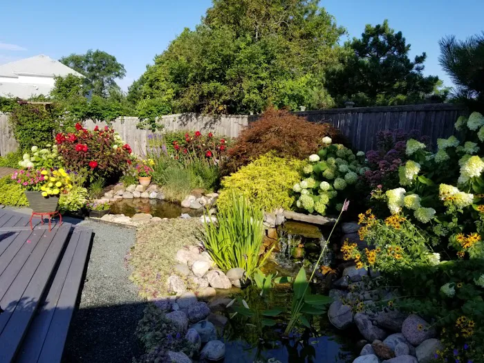TruGreen Lawn Care Picture 4