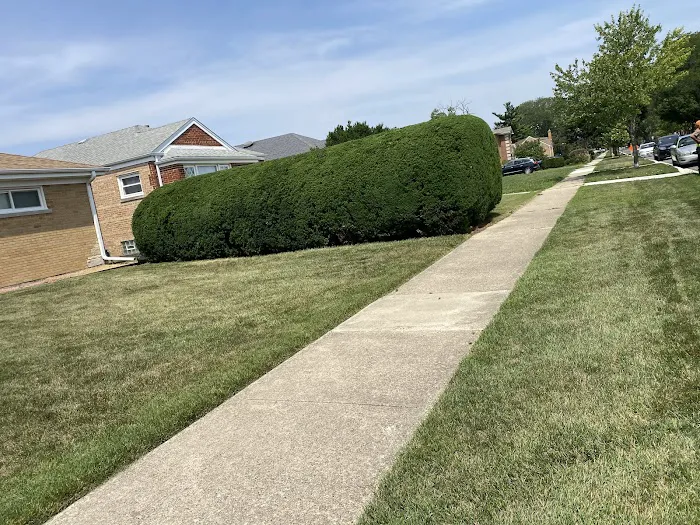 Tommy Pollina Landscape Company, Inc. Picture 10