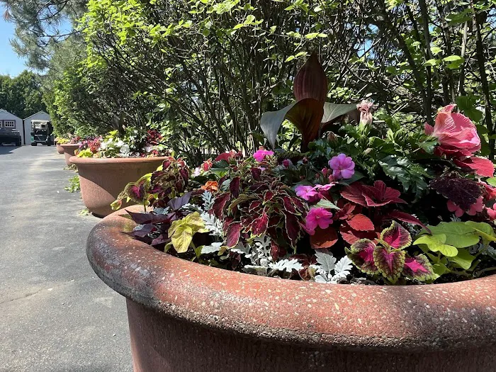 Tommy Pollina Landscape Company, Inc. Picture 4