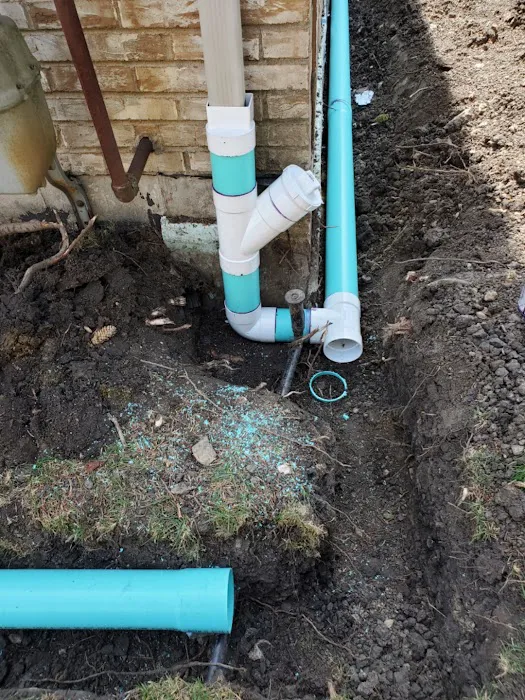 Tecalero Landscaping Picture 2