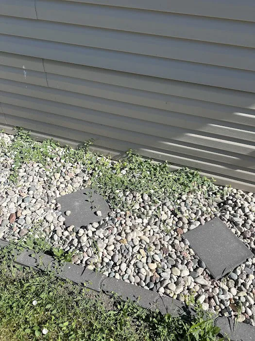 Extreme Green Landscaping Picture 1