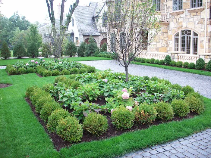 Green Grass Landscape Picture 9