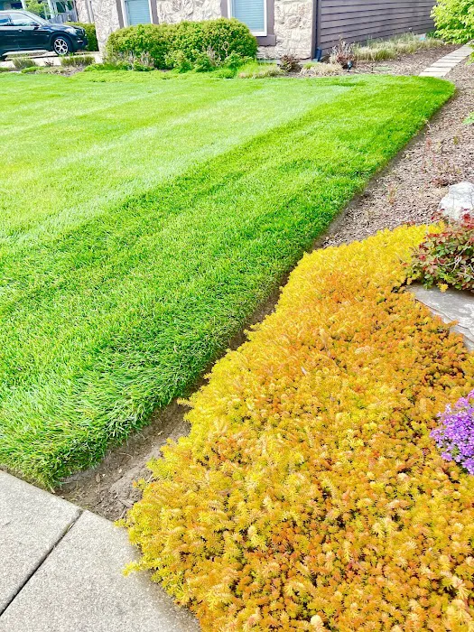 Benito's Landscaping Inc Picture 2