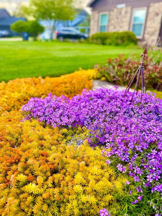Benito's Landscaping Inc Picture 3
