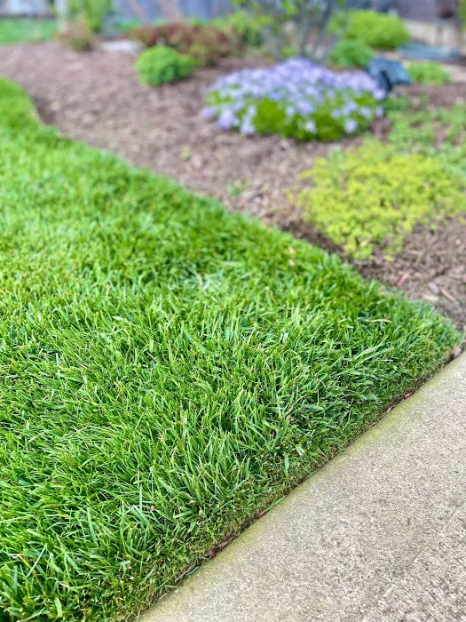 Benito's Landscaping Inc Picture 4