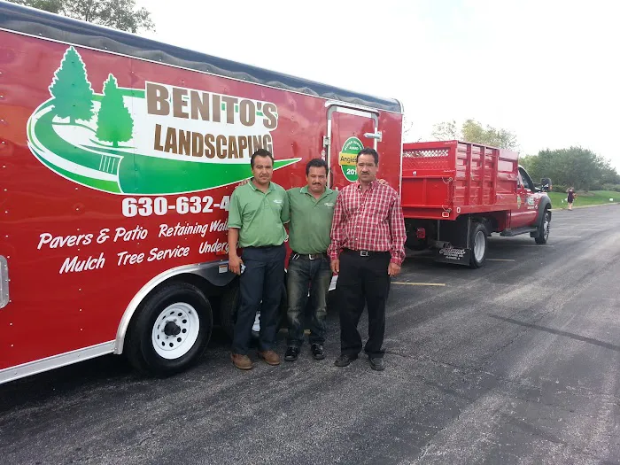 Benito's Landscaping Inc Picture 9