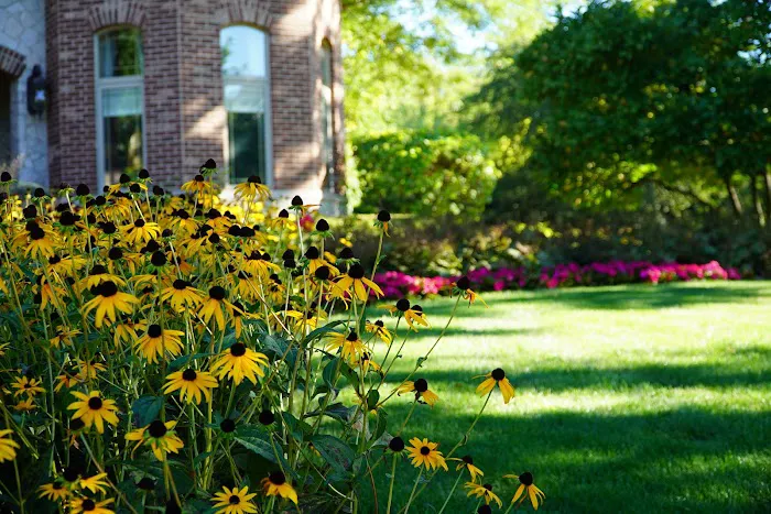 TimberRidge Landscaping, Inc. Picture 6