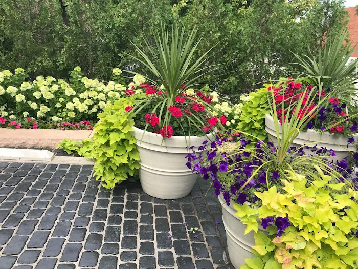 TimberRidge Landscaping, Inc. Picture 2