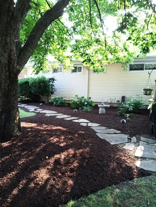 JV Landscaping Picture 2