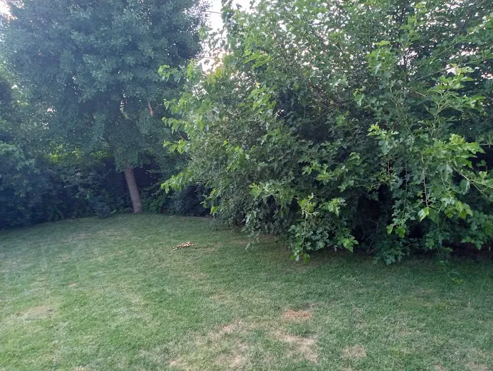 JV Landscaping Picture 3