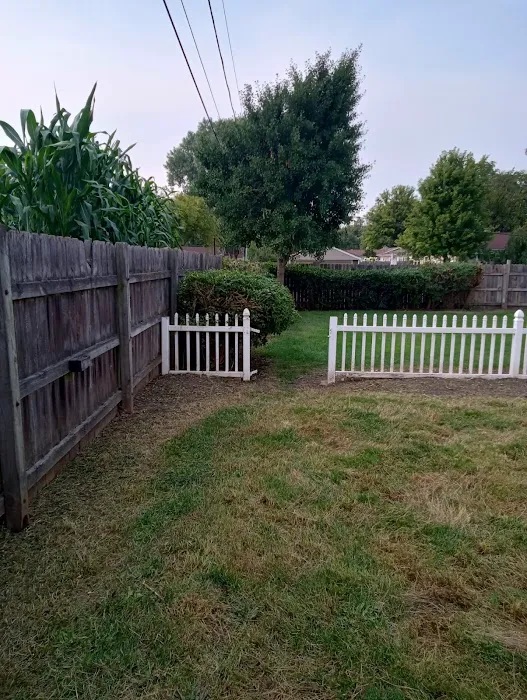 JV Landscaping Picture 5