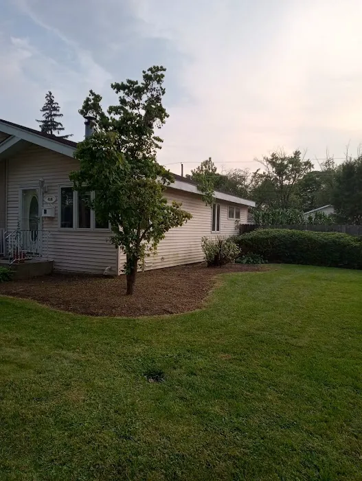 JV Landscaping Picture 7