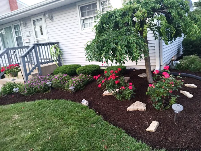 JV Landscaping Picture 10