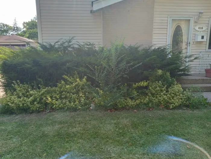 JV Landscaping Picture 9