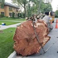 Green Arbor Landscape Contractors, Inc. ico