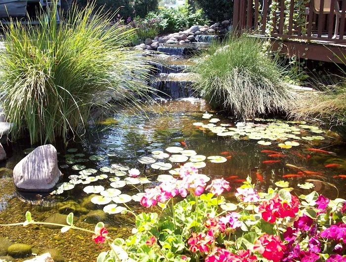 Midwest Nursery Landscaping Picture 8