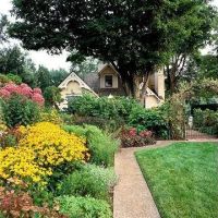 Lombard Landscaping by Morris LDC ico