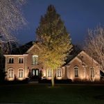 Artistic Outdoor Lighting - Chicagoland's Landscape Lighting