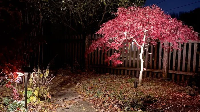Artistic Outdoor Lighting - Chicagoland's Landscape Lighting Picture 10