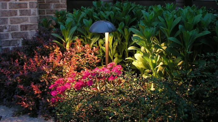Artistic Outdoor Lighting - Chicagoland's Landscape Lighting Picture 4