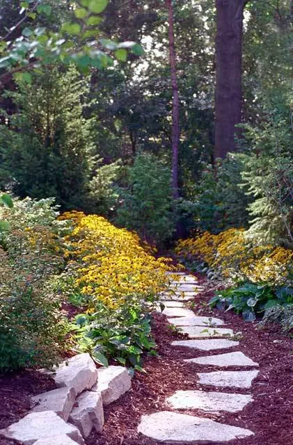 Drescher Landscaping, Inc. Picture 3