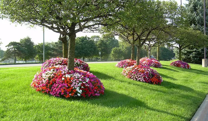 Country Landscape & Supply Picture 8