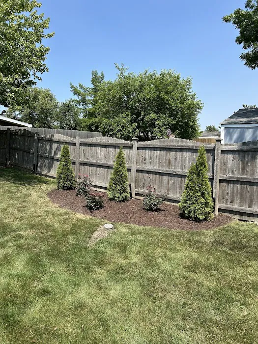 Max's Lawn and Landscaping Picture 4