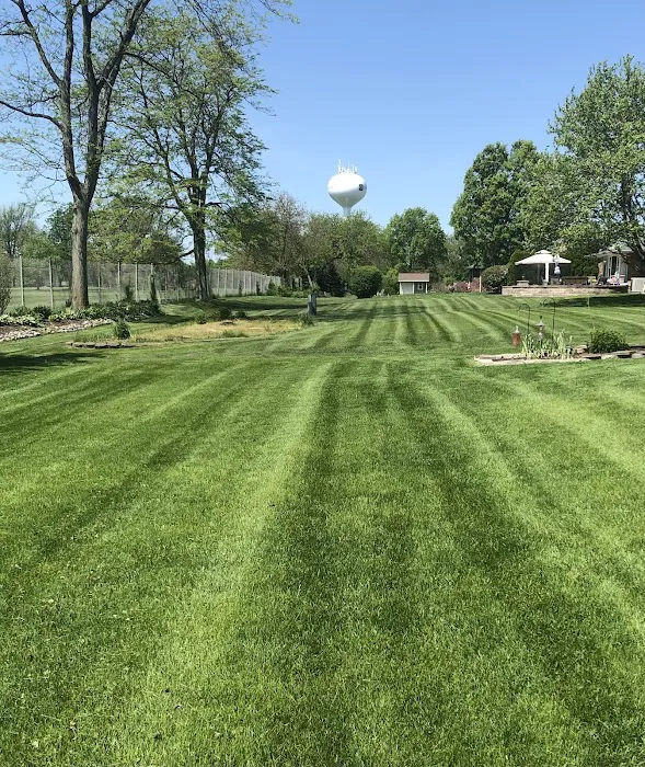 Max's Lawn and Landscaping Picture 2