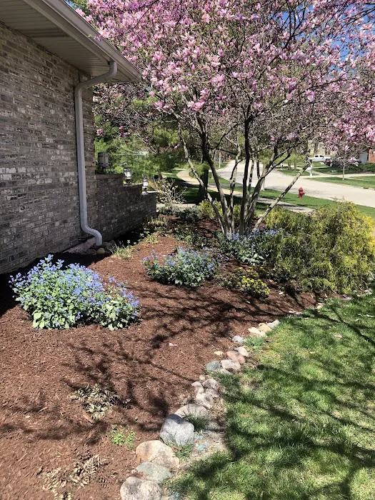 Max's Lawn and Landscaping Picture 1