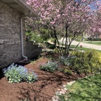 Max's Lawn and Landscaping ico