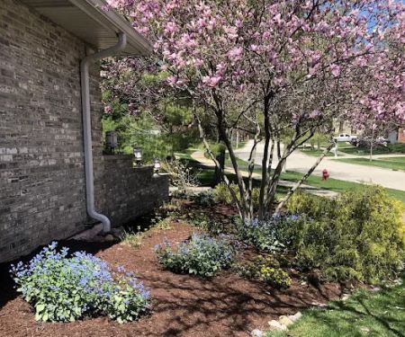 Max's Lawn and Landscaping