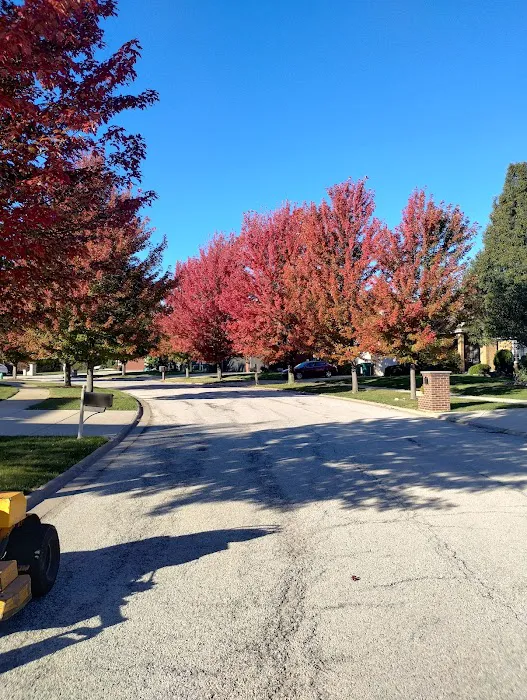 C & B Landscaping, LLC Picture 1