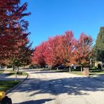 C & B Landscaping, LLC