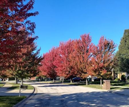 C & B Landscaping, LLC